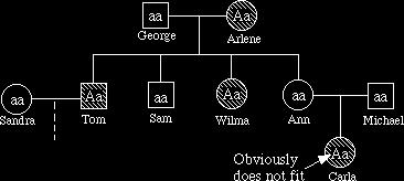 If alkaptonuria is dominant Carla could not have the disease, as indicated in the pedigree chart, since the parents do not express the trait. See Below.