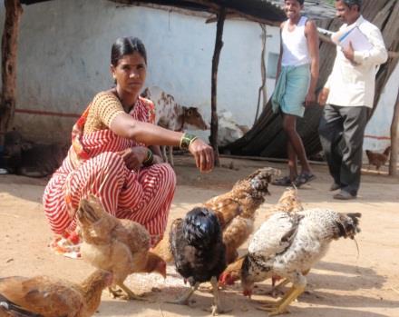 Types of RPF Why rural / backyard poultry?