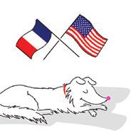 It s the flag that all Shelties are proud