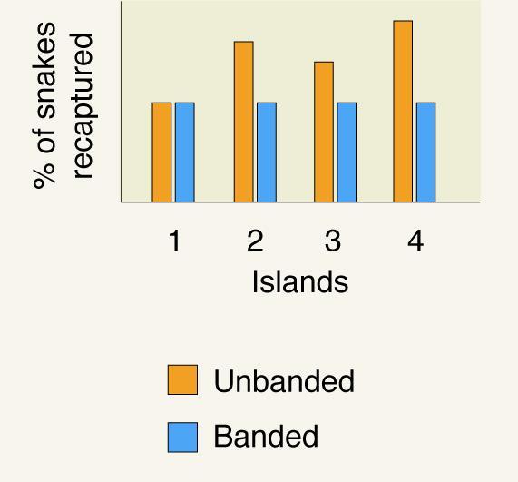 Data Interpretation Water snakes on islands in Lake Erie vary in coloration from banded to unbanded.