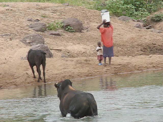 Water Use on the Mwenezi