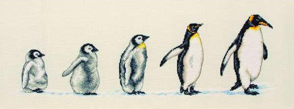 x 6") Penguins In A