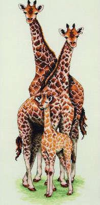 19") Giraffe Family