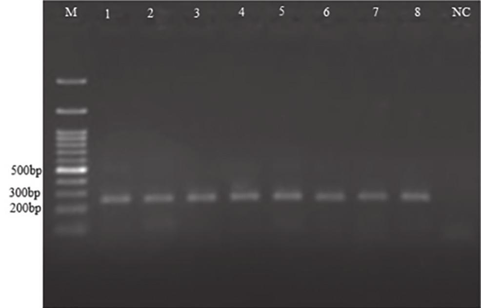 Table-1: Primers, targets, and sequences applied for multiplex PCR. Target species Target gene Primer designation target was observed in 0.