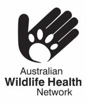 Hydatid disease (Echinococcus granulosus) in Australian Wildlife FACT SHEET Introductory Statement Echinococcus granulosus is widespread in Australian wildlife where its reproductive potential may be