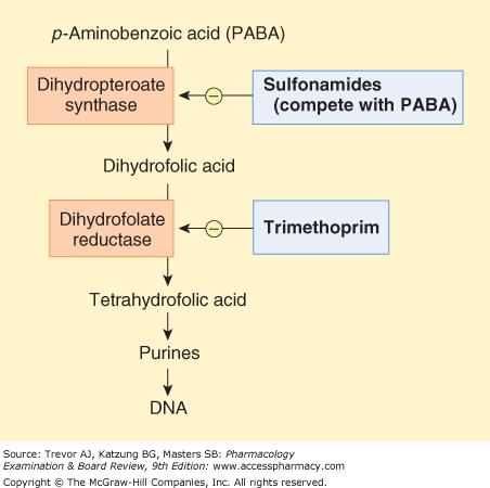 Potentiated Sulfonamides Plumb 6 th Ed. p.