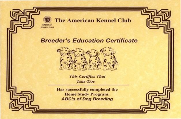 10 The American Kennel Club Certificate of Completion For breeders who wish to test their knowledge and understanding of the material presented in the ABC s of Dog Breeding program, the American