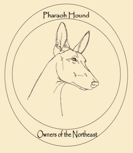 PHARAOH HOUND OWNERS OF THE NORTHEAST Denise Gentile, Field Trial Secretary 42 Copper Hill Drive Guilford, CT 06437 Cell 203-915-1303 jdgentile@sbcglobal.