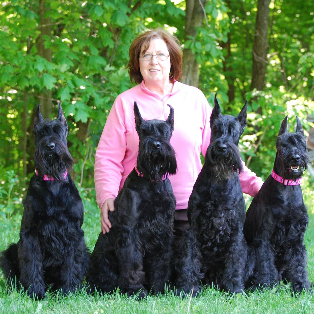 Giant Schnauzer Club of America Newsletter Volume E8 August ~ September 2012 Member Profile Name and Location Lynn McMaster, Monee IL Occupation Medical Billing Specialist Your Giants names Histyle s
