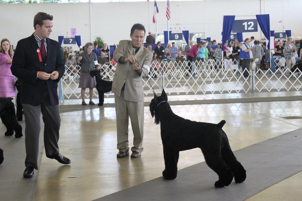 If there is a club member that you would like to see featured in the Member Profile column, please send their name and contact information to Lori Clark at secretary@giantschnauzer clubofamerica.com.