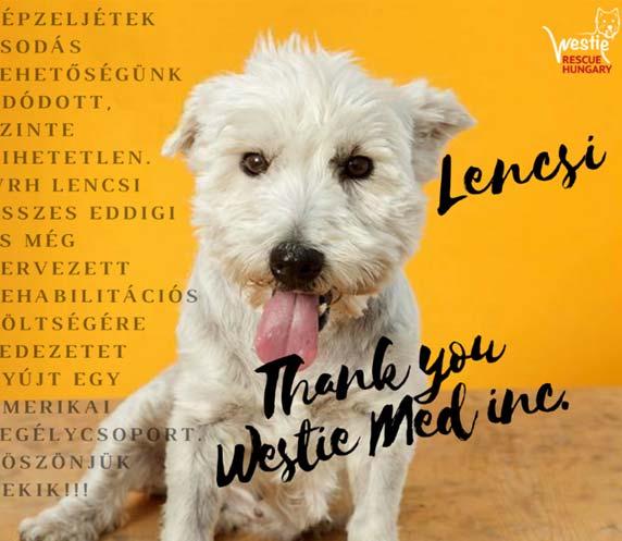 Westies We Helped in 2016 Westies We Helped In 2017 WestieMed News Page 3 Lencsi Lencsi is an approximately 9-10 years old Westie lady who was rescued in May 2016 in Hungary.