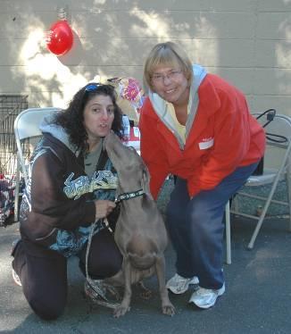 the shelter and the Town Board of North Hempstead, we offered to sponsor dogs from overcrowded open admission shelters.