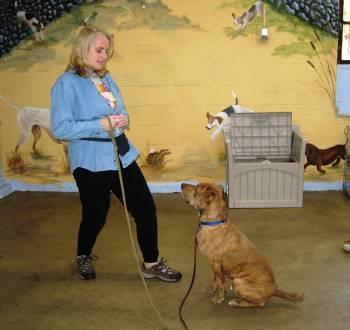 With hand painted murals and specially treated floors, the garage became a spacious indoor playground for our dogs to blow off
