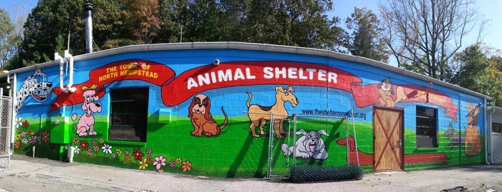 Carved from an overgrown, trash strewn piece of Town property, this scentillating walk-in-the wood for our shelter dogs took