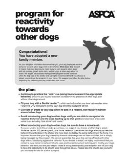 reactivity to other dogs handout Review this handout with adopters who choose a dog