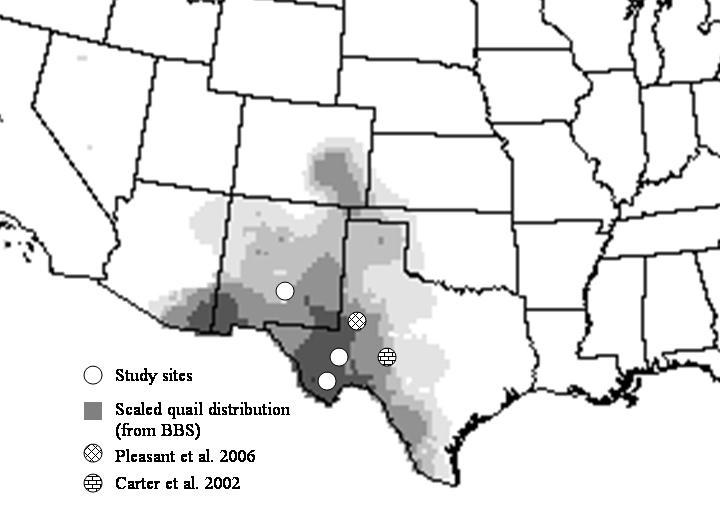 Figure 2: Study sites (open circles) relative to range of scaled quail (Sauer et al. 2005) and recent studies on scaled quail in west Texas. grama (Bouteloua spp.