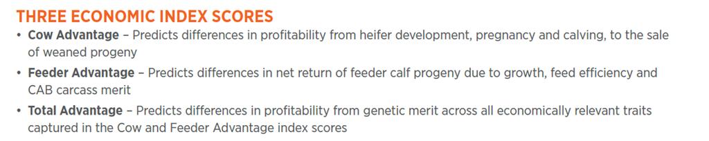 **** NEW THIS YEAR **** SHOW-ME-PLUS Classification As part of the Show-Me-Select Replacement Heifer Program, we have created a new designation for heifers with genomic predictions called