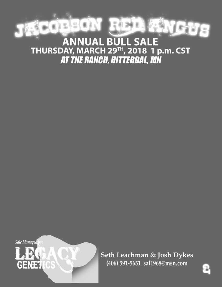 1:00 pm Jacobson Red Angus Annual Bull Sale at the Ranch... Please join us after the sale for refreshments!