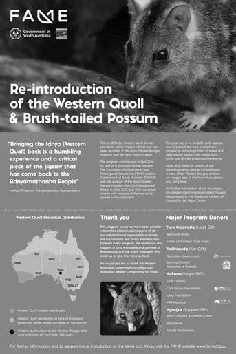 The Quokka has gained quite a following in recent years with the Quokka selfie trend bringing increased levels of tourism to Rottnest Island - the home to the largest population of Quokkas.