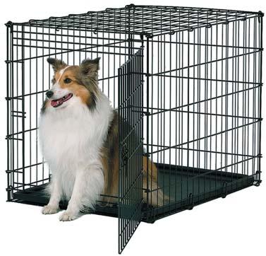 Crate training your dog may take some time and effort, but can be useful in a variety of situations.