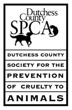 Dutchess Dutchess County SPCA County SPCA 636 Violet 636 Avenue Violet Avenue Hyde Park, Hyde NY Park, 12538 NY 12538 Phone: 845-452-7722 Fax: 845-452-1886 info@dcspca.org info@dcspca.