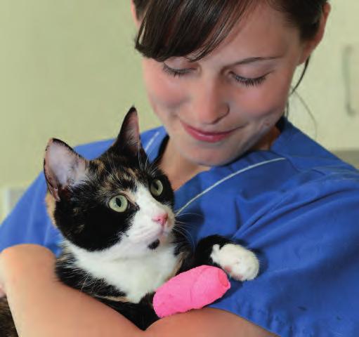 The PAW Report provides us with fantastic insight into people s awareness of their pets needs.