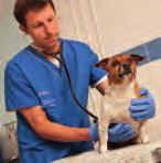 However, 6% have reduced the amount they spend on preventive healthcare, potentially affecting nearly 1 million pets.