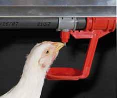Nipple Drinkers for Breeders The lift trigger mechanism of Chore-Time s Breeder Drinker System is designed to get more water in the hens and roosters and less on the floor.