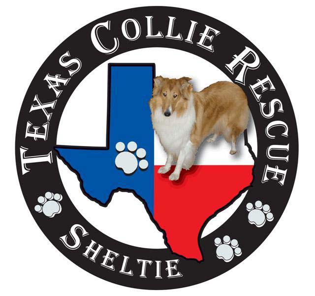 Texas Collie Rescue P.O. Box 691114 Houston, TX 77269-1114 713-545-7408 fax: 281-893-1347 www.texascollierescue.org Rescue program Description and Instructions Texas Collie Rescue, Inc.