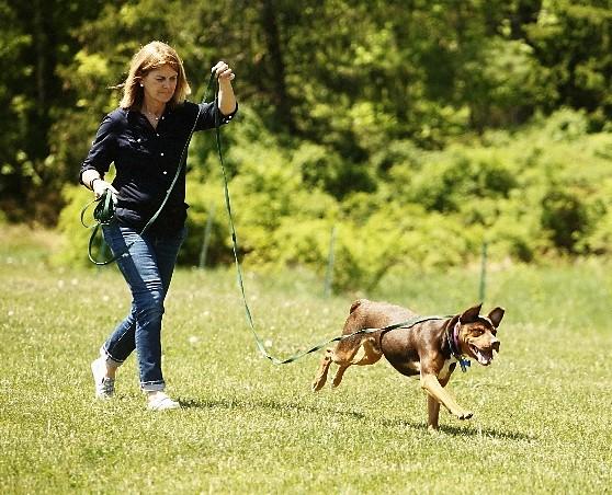 We will study dog-to-dog behavior from greetings to off-leash interactions.