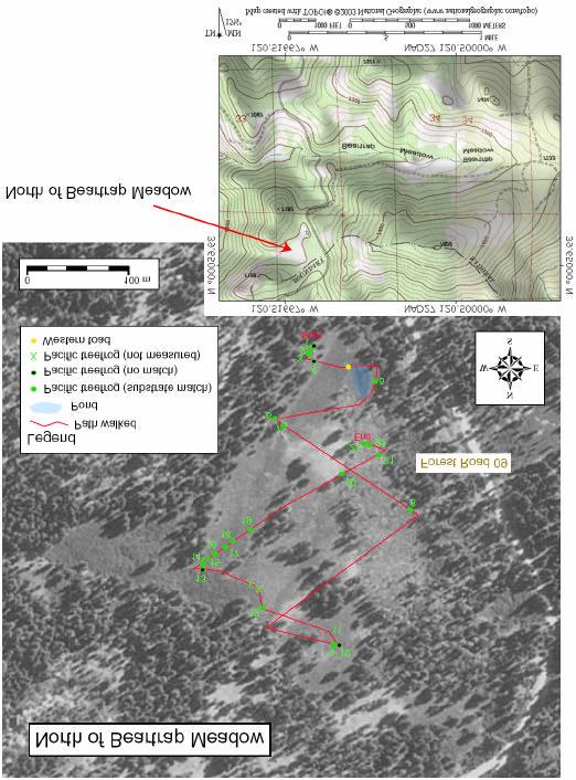 Figure 2. The aerial photograph shows the study area called North of Beartrap Meadow with the zigzag path walked and all the Pacific tree frogs (numbered 1-23) captured along this pathway.