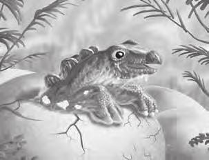 ...175 David Norman, The Illustrated Encyclopedia of Dinosaurs (London: Salamander Books Ltd., 1985), p. 179. Pteranodon Sylvia J. Czerkas and Stephen A.
