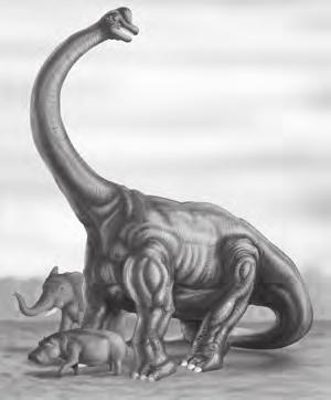 ...177 Michael J. Ryan (San Diego, CA: Academic Press, 1997), p. 488 493. Joseph Wallace, Book of Dinosaurs and Other Ancient Creatures (New York: Simon & Schuster, 1994), p. 107. Behemoth Philip J.