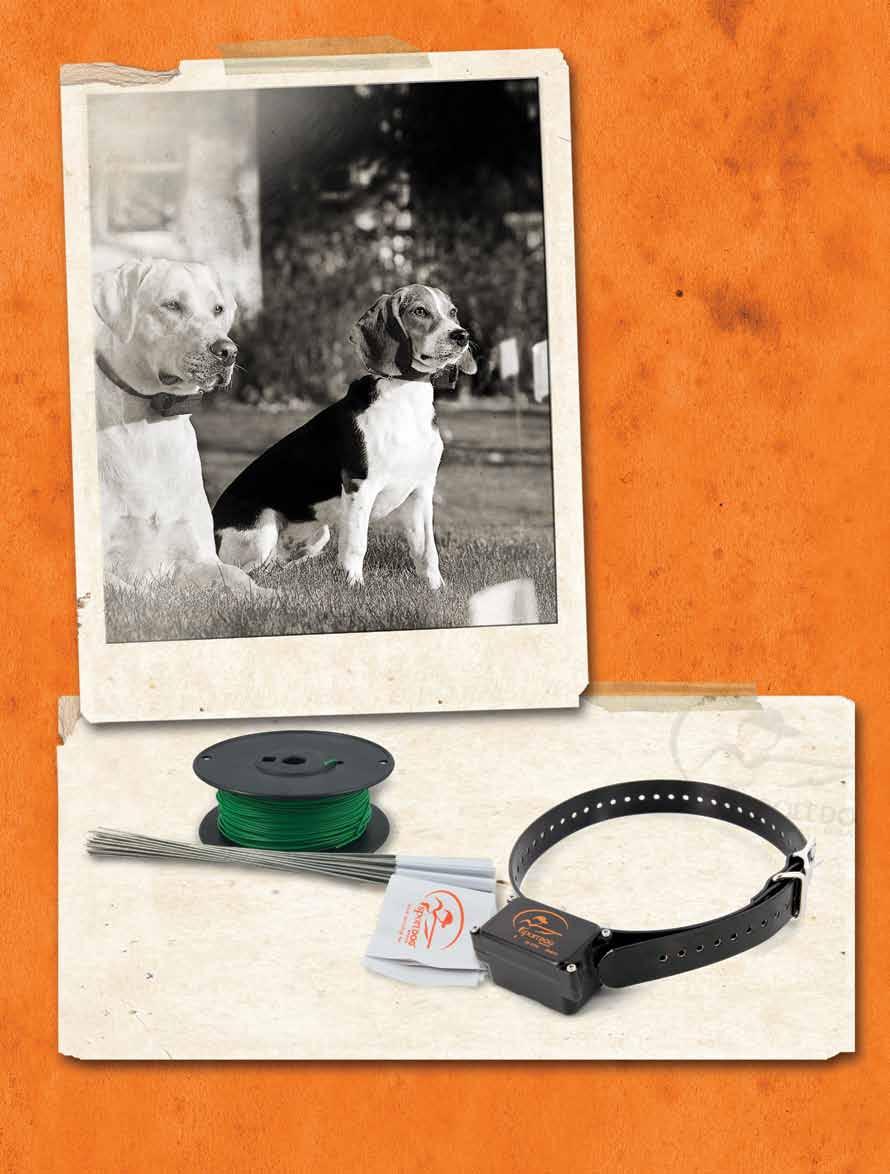 Wire & Flag Kit and Add-A-Dog Collar Receiver SDF::WF
