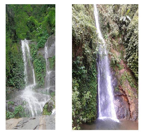Plate-1: Phographs shows the (a) Rengsangrap Waterfalls in the mid-zone of Tura Peak Reserve Forest and (b) Gandrakdare Waterfalls on the foot of Tura Peak Reserve Forest. and fauna.