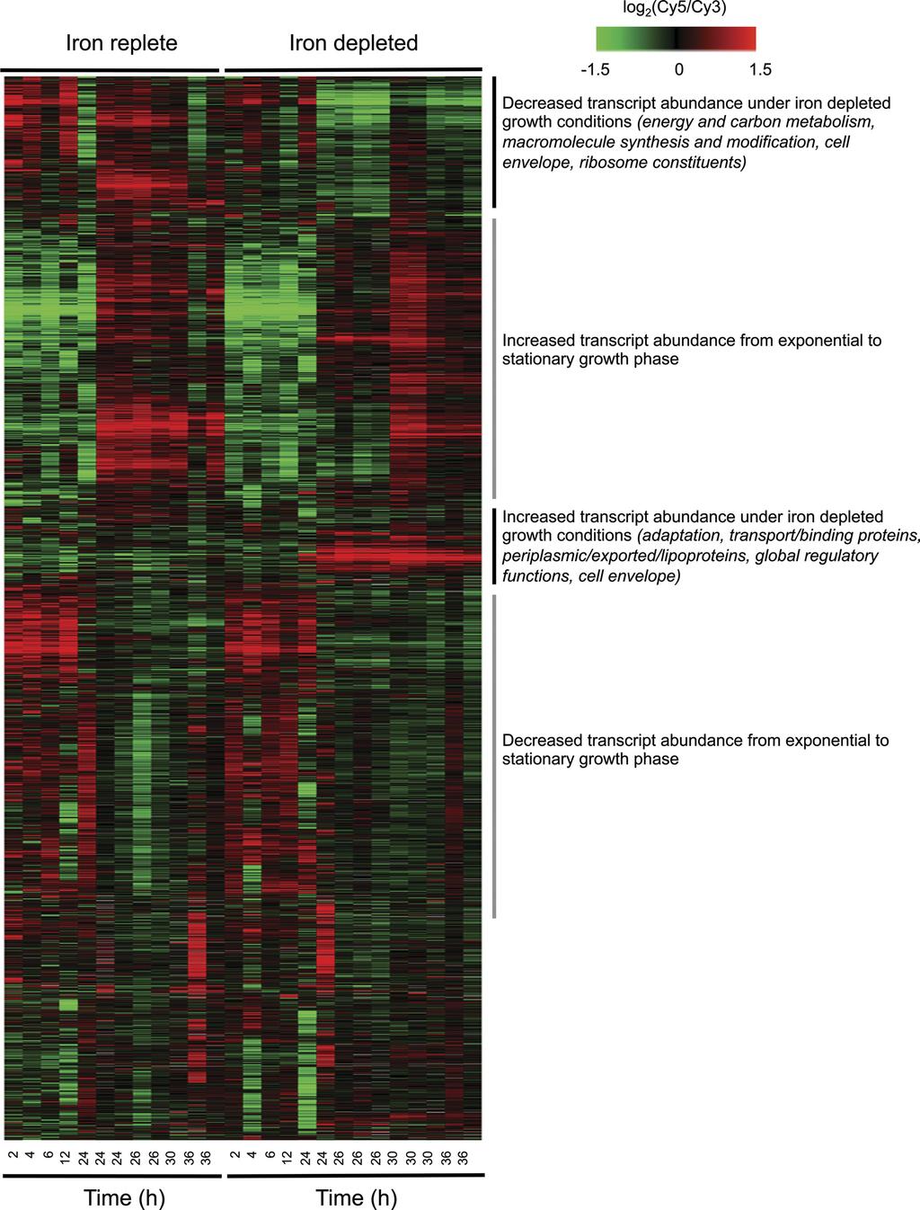 4802 BRICKMAN ET AL. J. BACTERIOL. FIG. 2. Gene transcript abundance patterns in B. pertussis Tohama I. Gene transcript abundance patterns in B. pertussis Tohama I are shown for cultures grown under iron-replete and iron-depleted conditions.