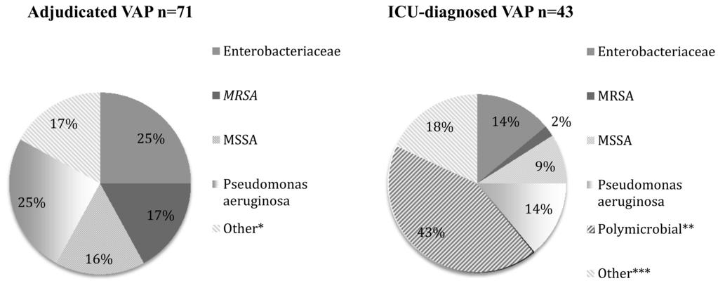 vap: overdiagnosis and treatment in icu s 281 figure 2. Culture results for adjudicated and intensive care unit (ICU) diagnosed ventilator-associated pneumonia (VAP).