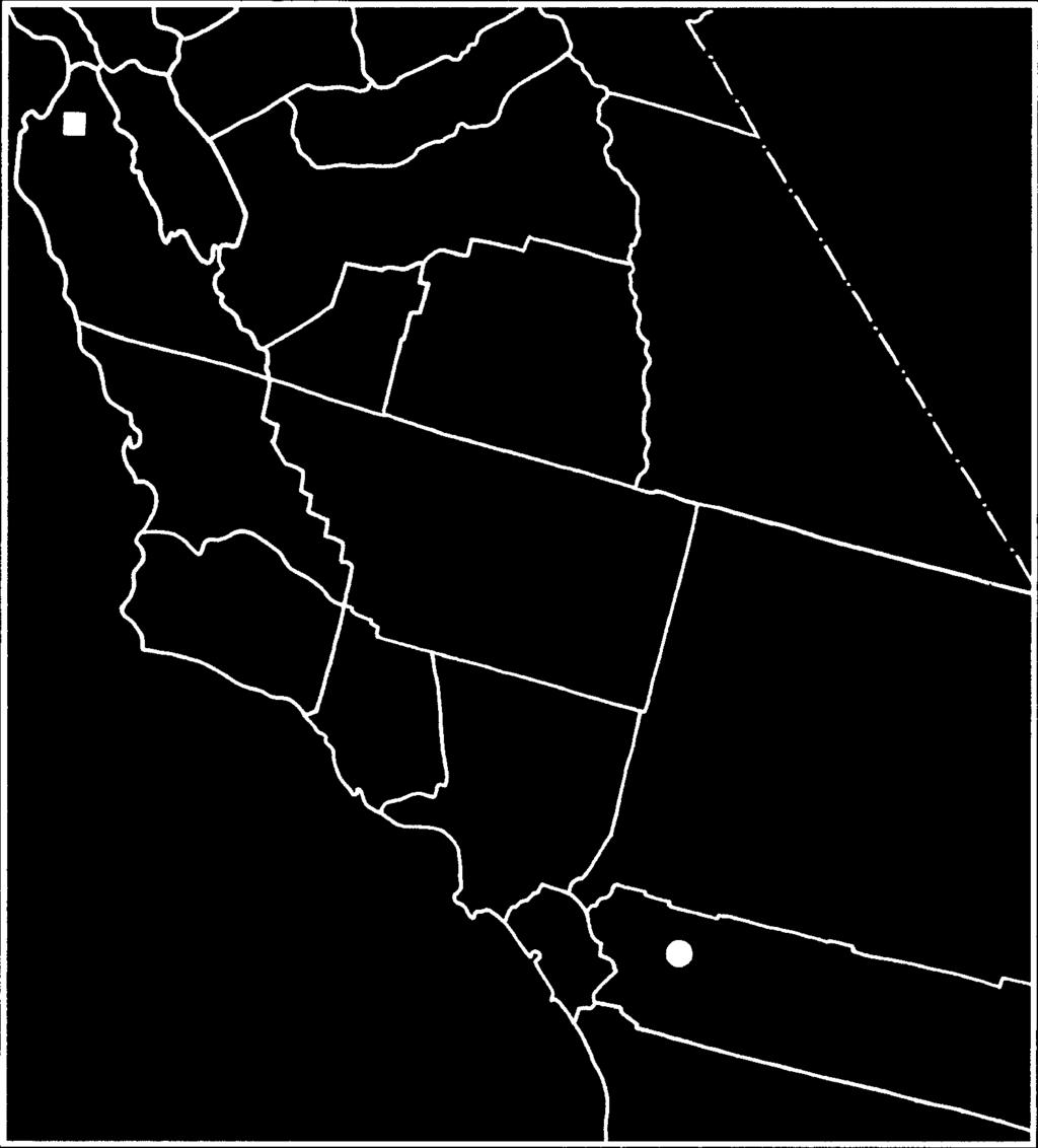 Additionally, males belonging to the californica group, clearly different from the species treated in this paper, have been recently discovered near the type locality of L. sylva.