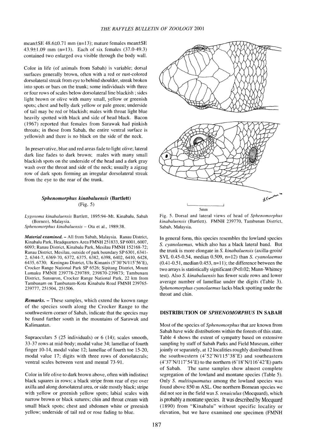 THE RAFFLES BULLETIN OF ZOOLOGY 2001 mean±se 48.6±0.71 mm (n=13); mature females mean±se 43.9±1.09 mm (n=13). Each of six females (37.0-49.3) contained two enlarged ova visible through the body wall.