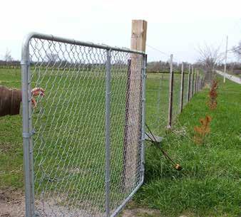 Mesh wire height is 48 inches (120 cm). Preferred wire diameter is 12.5 gauge, not smaller than 14 gauge, as lighter wire is easier to bend, providing an opening for coyotes to enter.