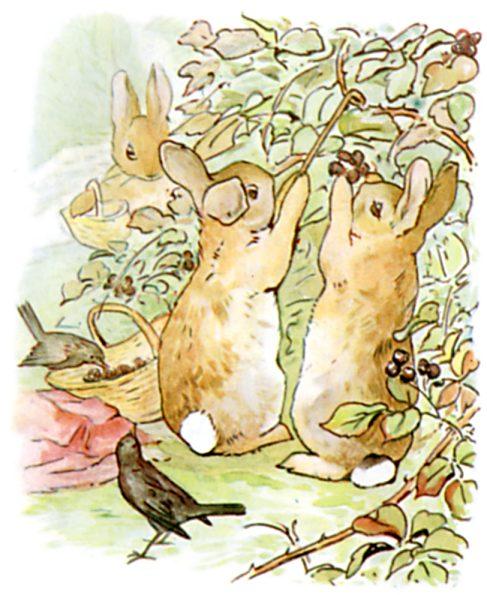 Flopsy, Mopsy, and Cotton- tail, who were good