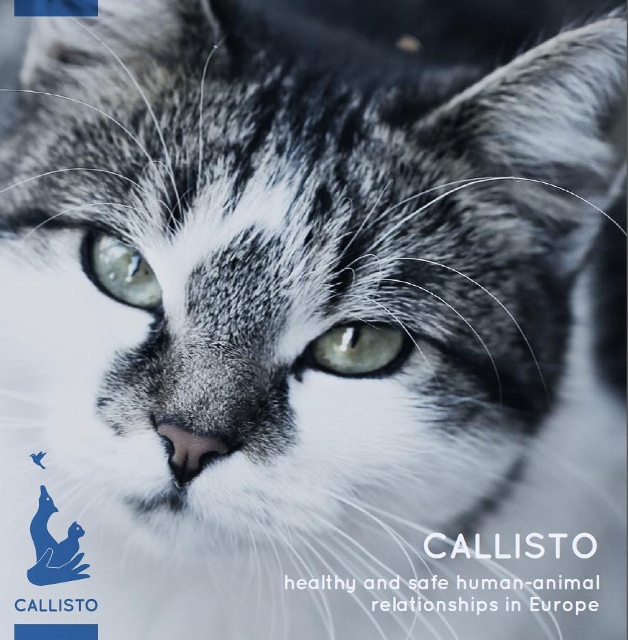 The CALLISTO project Suggests the development of systems for identifying and registering the most common companion