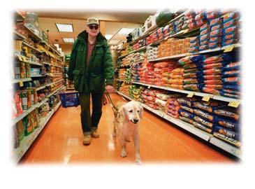 Many people who are blind depend on dogs to serve as guides. Seeing Eye dogs help their owners get around safely at home and in the world.