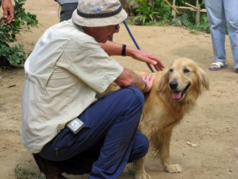 Companion animals Shelter management and dog handling training in: Albania, Bosnia & Herzegovina, Croatia, FYR Macedonia, Greece, Georgia, Korea, Kosovo, Montenegro, Serbia,