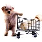 markets Retail Distribution Expansion of grocery retailers and modern pet superstores creates a good venue to drive sales of mass premium products in both developed and emerging economies