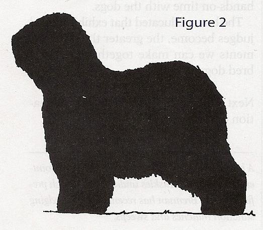 DISTINCTIVE SILHOUETTE An Old English Sheepdog s silhouette (Figure 2) is distinctive.