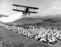 The first trials of residual house spraying took place in South Africa in 1932.