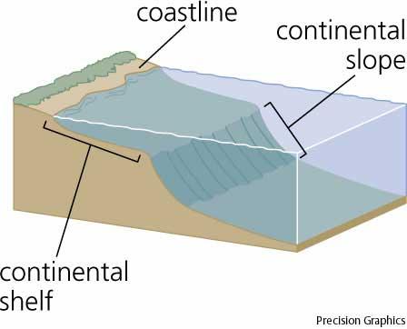 Gulf of Mexico CONTINENTAL SHELF The continental shelf extends seaward until it reaches a depth of approximately 200m.