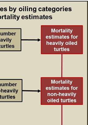 Schematic showing process by which the Trustees quantified injuries to small juvenile sea turtles in offshore areas using density estimates, the area within the cumulative oil exposure footprint,
