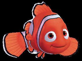Remember Nemo s friend.